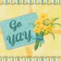 Go Yay! reviews SHMILY coins